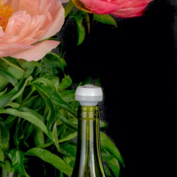 Extended Freshness - PIKA°